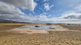 GC-Playa de Maspalomas 2026-152.jpg